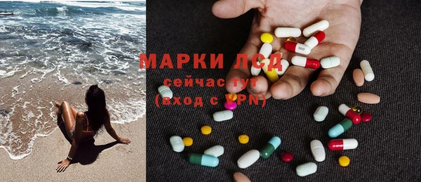 индика Абинск