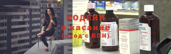 индика Абинск