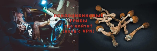 ешки Абаза