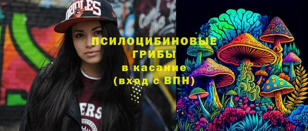 ешки Абаза