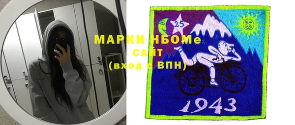 индика Абинск