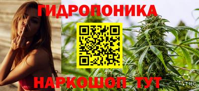 СК Чебоксары