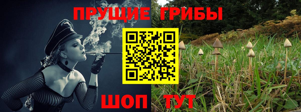 Азнакаево  Галлюциногенные грибы GOLDEN TEACHER  купить наркотик  Вход с VPN 