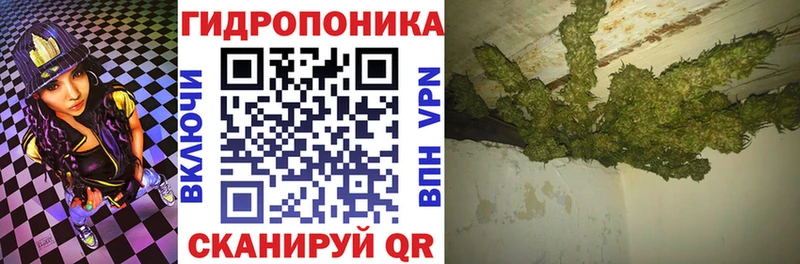 Бошки марихуана White Widow  Азнакаево 